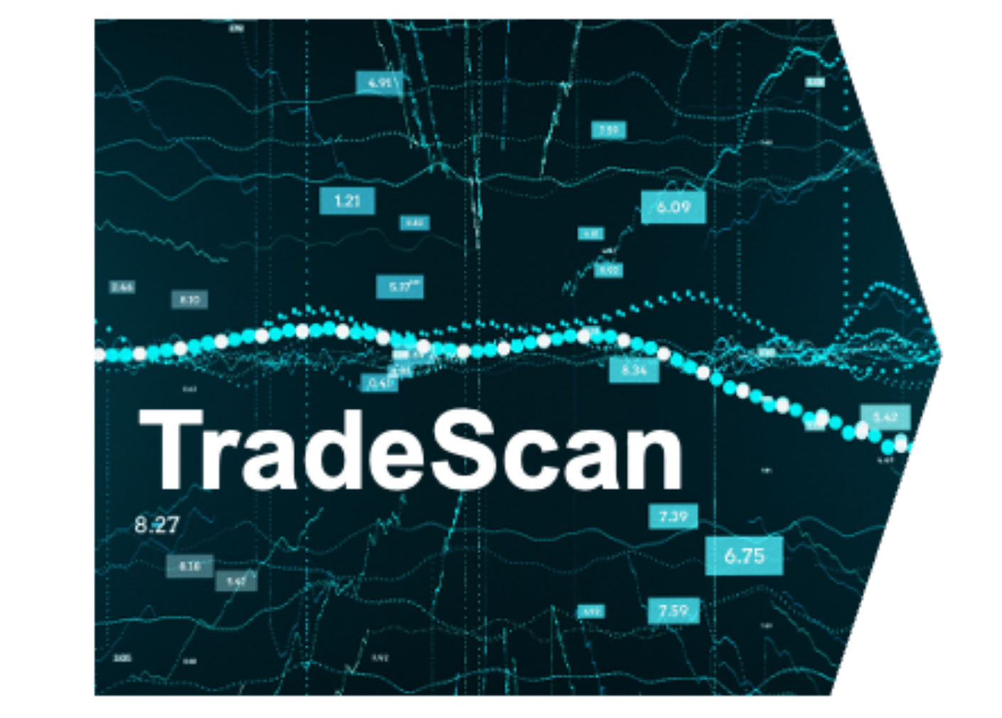 Insights  Tradescan Exclusive
