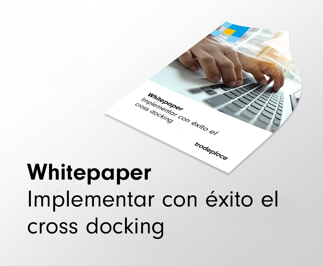 whitepaper-mockup-SP-23072024